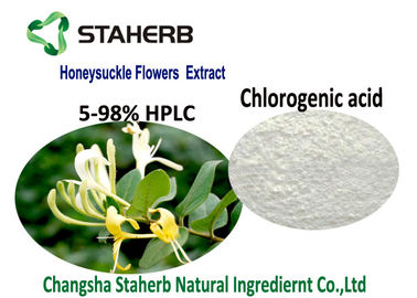 Κίνα Οργανικά φυσικά καλλυντικά συστατικά, χλωρογενές οξύ 5-98% CAS 327 97 9 εκχυλισμάτων λουλουδιών αγιοκλημάτων προμηθευτής