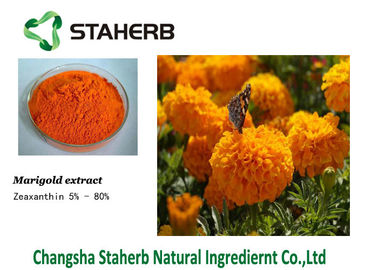 Κίνα Zeaxanthin Marigold εκχύλισμα λουλουδιών προμηθευτής