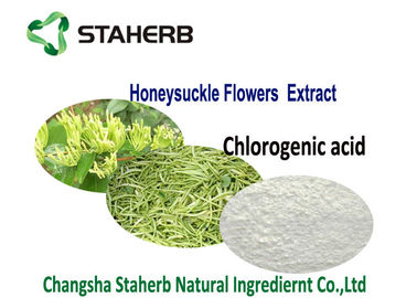 Κίνα 80%HPLC καθαρό χλωρογενές όξινο φυσικό εκχύλισμα φυτού προϊόντα υγείας CAS 327 97 9 προμηθευτής