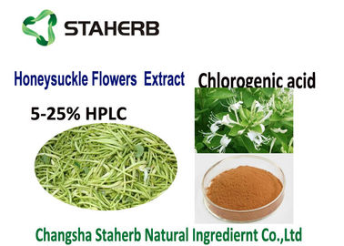 Κίνα Φυσικό χλωρογενές όξινο εκχύλισμα αντι εμπρηστικό 50-90%HPLC CAS 327 97 9 φυτού προμηθευτής