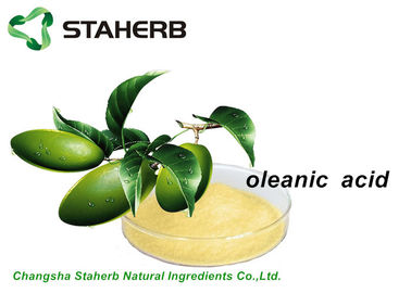 Κίνα Αντι - αντιβακτηριακό απόσπασμα Oleanic όξινο CAS 508 02 1 Olea εκχυλισμάτων φυτού Inflammmatory προμηθευτής