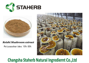 Κίνα Καφετί Triterpene 1%-20% σκονών εκχυλισμάτων μανιταριών Lucidum Reishi Ganoderma προμηθευτής