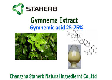 Κίνα Gymnema απώλειας βάρους Gymnemic οξέα Sylvestre Leaf Extract Powder 25% προμηθευτής