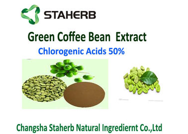 Κίνα Οργανικό πράσινο καφέ φασολιών εκχυλισμάτων βάρος ελέγχου σκονών 50% χλωρογενές όξινο προμηθευτής