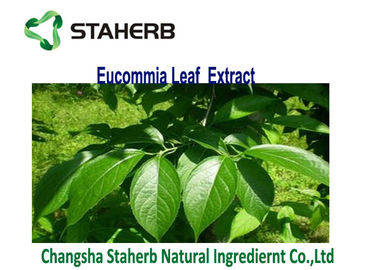 Κίνα Καφετί κίτρινο χλωρογενές οξύ 3-5% αποσπασμάτων φύλλων Eucommia Ulmoides σκονών προμηθευτής