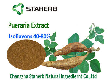 Κίνα Ανοικτό καφέ σκόνη CAS 3681 99 0 αποσπασμάτων ρίζας Isoflavons40%~80% Pueraria Lobata προμηθευτής