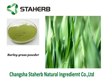 Κίνα Πράσινος ψεκασμός χρώματος Gine σκονών χυμού χλόης κριθαριού χορταριών - ξηρά εξαγωγή προμηθευτής