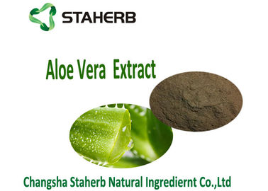 Κίνα Αντιβακτηριακό και αντιφλεγμονώδες Aloe της Βέρα Extract Aloe Powder εκχύλισμα Aloin1098% Natural χορταριών προμηθευτής
