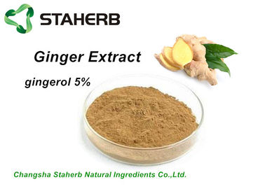 Κίνα Αντιβακτηριακό gingerol 5%-95% εκχυλισμάτων πιπεροριζών εκχυλισμάτων φυτού από το HPLC προμηθευτής
