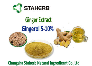 Κίνα Εκχύλισμα 5%, 10%, 20%, 50% Gingerol πιπεροριζών από SCFE CO2 τις πρώτες ύλες για γαστροεντερικό προμηθευτής