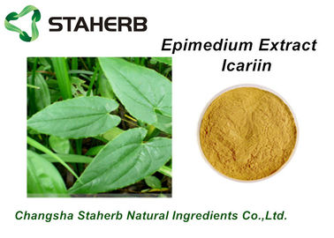 Κίνα Απόσπασμα Icariin10%98% Epimedium εγκαταστάσεων αρσενική σκόνη αυξήσεων από το HPLC προμηθευτής