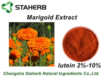 Κίνα Κόκκινη φυτογενής Marigold πρόσθετων ουσιών τροφών χρωστική ουσία σκονών λουτεΐνης 2%-10% αποσπασμάτων προμηθευτής