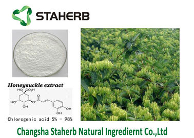 Κίνα Εκχύλισμα λουλουδιών Honeysuchle αποσπασμάτων CAS 327-97-9 το χλωρογενές όξινο μειώνει τη θερμότητα προμηθευτής