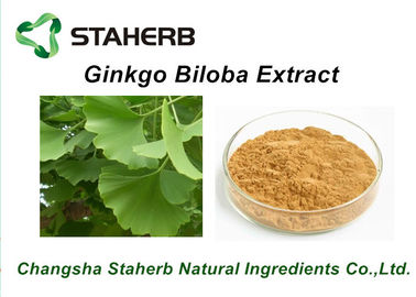 Κίνα Αντιβακτηριακά καθαρά φυσικά εκχυλίσματα φυτού/απόσπασμα CAS Ginkgo Biloba Νο 90045-36-6 προμηθευτής