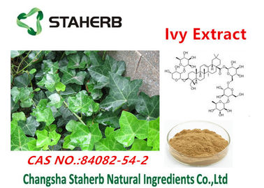 Κίνα Αντιβακτηριακή σκόνη CAS no.84082-54-2 Hederacoside γ εκχυλισμάτων φυτού εκχυλισμάτων κισσών προμηθευτής