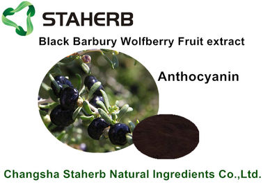 Κίνα Μαύρο εκχύλισμα φρούτων Βαρβαρίας Wolfberry, φυσικά συστατικά τροφίμων για το ποτό προμηθευτής