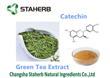 Κίνα Πράσινη Catechin 50-98% συμπληρωμάτων εκχυλισμάτων τσαγιού αντιοξειδωτική διαιτητική σκόνη προμηθευτής