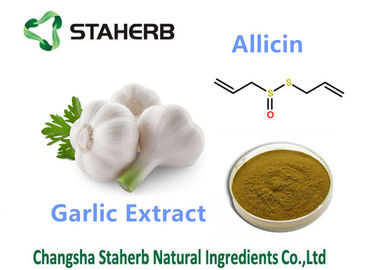 Κίνα CAS 539 86 6 αντιβακτηριακά εκχυλίσματα φυτού Allicin, αντιμικροβιακά εκχυλίσματα φυτού προμηθευτής