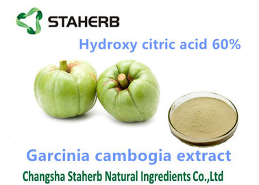 Κίνα Cambogia Garcinia όξινη 60% σκονών μείωσης βάρους αποσπασμάτων σκόνη Hydroxycitric προμηθευτής