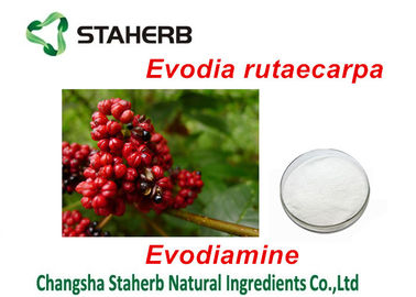 Κίνα Οργανική σκόνη Evodiamine εκχυλισμάτων φυτού αποσπασμάτων Rutaecarpa Evodia για το φαρμακευτικό είδος προμηθευτής