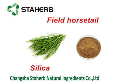 Κίνα Εκχύλισμα πράσινου φυτού αποσπασμάτων αλογουρών τομέων, όξινη σκόνη πυριτίου εξαγωγής πρωτεΐνης εγκαταστάσεων προμηθευτής