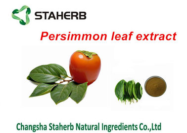 Κίνα Persimmon Kaki Folium εκχυλισμάτων φυτού αποσπασμάτων φύλλων καθαρή φυσική σκόνη αποσπασμάτων προμηθευτής