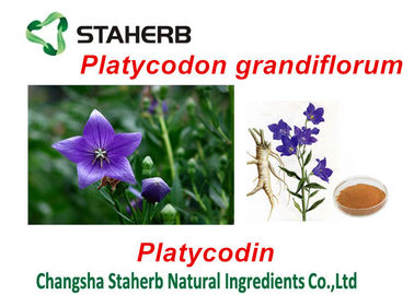 Κίνα Εκχυλίσματα πράσινων φυτών Grandiflorum Platycodon, που εξάγουν τις χημικές ουσίες από τις εγκαταστάσεις προμηθευτής