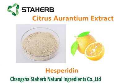 Κίνα Καθαρό φυσικό Hesperidin CAS εκχυλισμάτων φυτού αποσπασμάτων Aurantium εσπεριδοειδών Νο 520-26-3 προμηθευτής