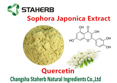 Κίνα Απόσπασμα Japonica Sophora που εξάγει τις χημικές ουσίες από Quercetin 98% εγκαταστάσεων προμηθευτής