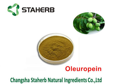 Κίνα Oleuropein 40% - φυσικά πράσινα αποσπάσματα 80%, που εξάγουν τις χημικές ουσίες από τις εγκαταστάσεις προμηθευτής