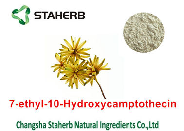 Κίνα Νο 86639-52-3 καθαρά φυσικά εκχυλίσματα φυτού CAS 7 - αιθύλιο - 10 - σκόνη Hydroxycamptothecin προμηθευτής