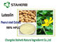 Luteolin εκχυλισμάτων φυτού δερμάτων φυστικιών αντιβακτηριακό HPLC Aluteolin 98% σκονών προμηθευτής
