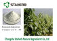 Καθαρό εκχύλισμα φυτού αποσπασμάτων φύλλων Eucommia αποσπασμάτων θερμότητας χλωρογενές όξινο προμηθευτής