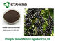 Συγκεντρωμένη ανθοκυάνη μούρων σκονών εκχυλισμάτων φυτού μαύρων σταφίδων φρούτα αντι - γηράσκων προμηθευτής