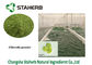 Chlorella πρωτεϊνική φυτική αποσπασμάτων σκόνη αλγών σκονών πράσινη προμηθευτής