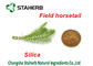 Εκχύλισμα πράσινου φυτού αποσπασμάτων αλογουρών τομέων, όξινη σκόνη πυριτίου εξαγωγής πρωτεΐνης εγκαταστάσεων προμηθευτής