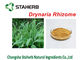 Συγκεντρωμένη σκόνη Rhizoma Drynariae εκχυλισμάτων φυτού ριζωμάτων Drynaria απόσπασμα προμηθευτής