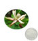 φυσικό απόσπασμα magnolol+honokiol φλοιών magnolia εκχυλισμάτων φυτών για τις ιατρικές εφαρμογές προμηθευτής