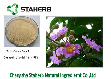 Κίνα Καθαρή φυσική σκόνη εκχυλισμάτων φυτού Banaba προμηθευτής
