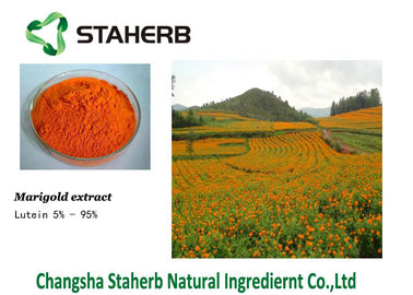Κίνα Marigold λουτεΐνης 127-40-2 συγκεντρωμένη απόσπασμα χρωστική ουσία εκχυλισμάτων φυτών προμηθευτής
