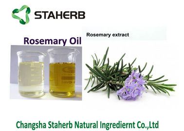 Κίνα Απόσπασμα φύλλων της Rosemary, ουσιαστικό πετρέλαιο της Rosemary για τα τρόφιμα και εκχύλισμα χορταριών cosmetics.100% φυσικό προμηθευτής