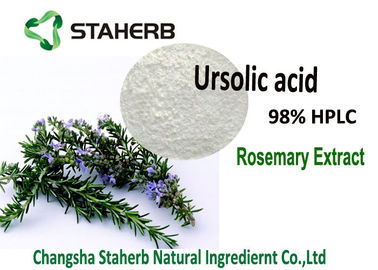 Κίνα Όξινο 50-98% Carnosic σκονών αποσπασμάτων Ursolic όξινο 25-98% Rosemary οξύ 5-90% Rosmarinic προμηθευτής