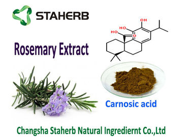Κίνα Φυσική της Rosemary φύλλων αποσπασμάτων πρόσθετη ουσία τροφίμων Souble πετρελαίου 5-90% αντιοξειδωτικού Carnosic όξινη καλή προμηθευτής