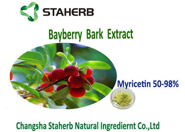 Κίνα Antioxidation κιτρινοπράσινο Myricetin 50%-98% χρώματος αποσπασμάτων σκονών φλοιών Bayberry προμηθευτής
