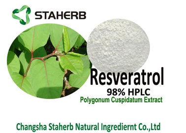 Κίνα Σκόνη αποσπασμάτων ρίζας Polygonum Cuspidatum HPLC Resveratrol 98% για την παράταση ζωής προμηθευτής