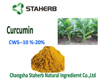 Κίνα Φυσική Turmeric πρόσθετων ουσιών οργανικής τροφής κουρκουμίνης σκόνη CWS - κουρκουμίνη 10% προμηθευτής