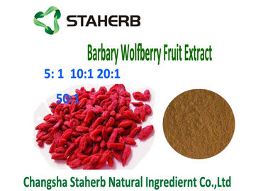 Κίνα Φυσικό εκχύλισμα 4/1 10/1 αναλογία καφετιά σκόνη μούρων Βαρβαρίας Wolfberry Goji αντι - όγκος προμηθευτής