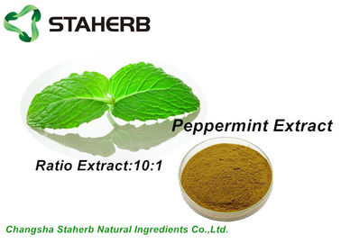 Κίνα Καθαρή Peppermint φύσης οργανική καφετιά σκόνη 10/1 αποσπασμάτων φύλλων αναλογία από TLC προμηθευτής