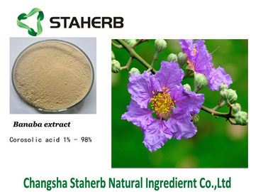 Κίνα Corosolic όξινα Banaba εκχυλίσματα φυτού φύλλων αντιβακτηριακά προμηθευτής