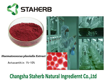 Κίνα Astaxanthin 472-61-7 συγκεντρωμένο απόσπασμα pluvialis Haematococcus εκχυλισμάτων φυτού προμηθευτής